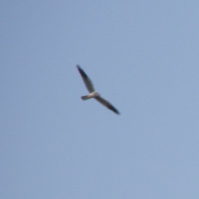 DSCF2966.JPG