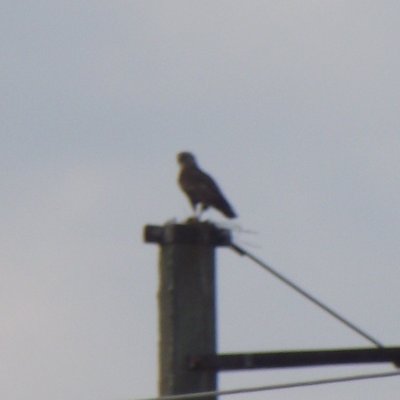 DSCF2980.jpg