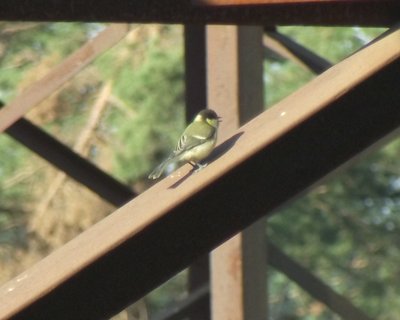 DSCF3010.jpg