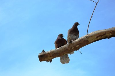 DSC_0108.JPG
