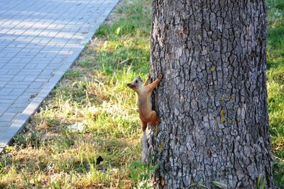 DSC_0219.JPG