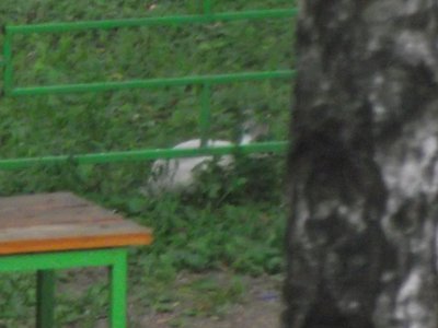 DSCF8173.JPG