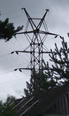 DSCF8312.JPG