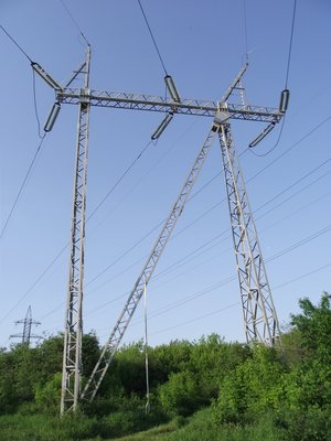 DSCF0529.jpg