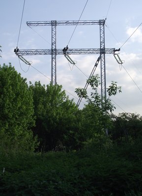 DSCF0530.jpg