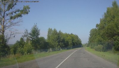 Птица Орёл..jpg