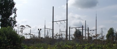 DSCF8480.JPG