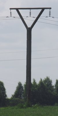DSCF8481.JPG