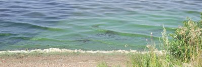DSCF8456.JPG