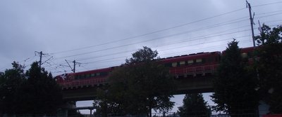 DSCF8495.JPG