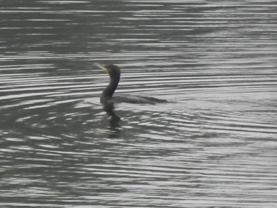 DSCF8878.JPG