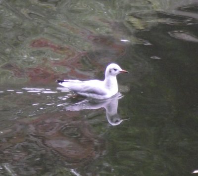DSCF8880.JPG
