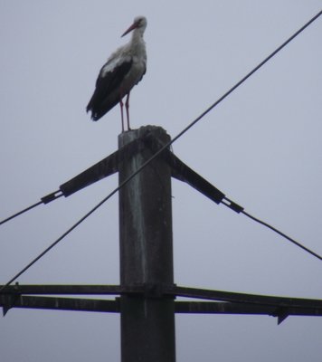 DSCF9034.JPG