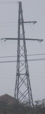 DSCF9142.JPG
