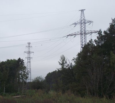 DSCF9167.JPG