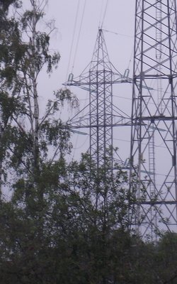 DSCF9171.JPG