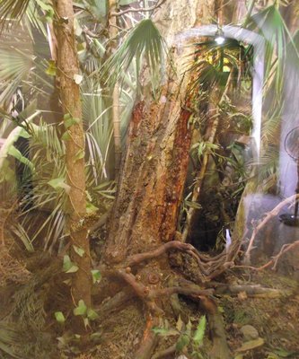 DSCF8779.JPG