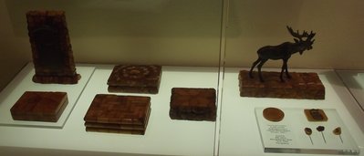 DSCF8806.JPG