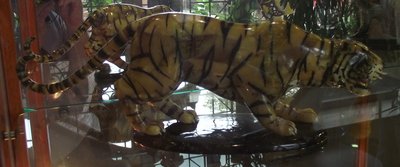 DSCF8836.JPG