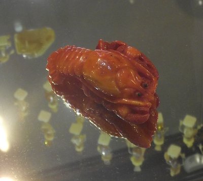 DSCF8841.JPG
