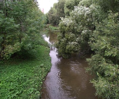 DSCF9238.JPG
