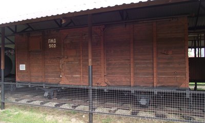 DSCF9381.JPG