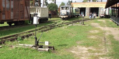 DSCF9373.JPG