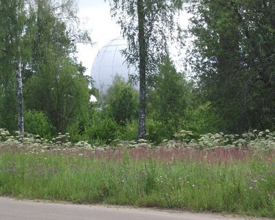 DSCF2787.jpg