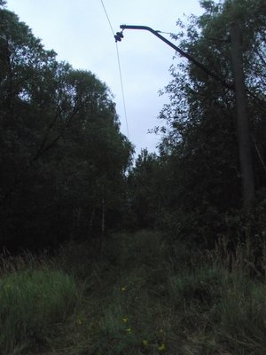 DSCF3125.jpg