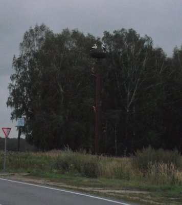 DSCF3129.jpg