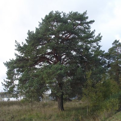 DSCF3892.JPG