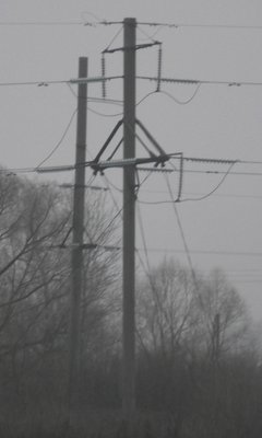 DSCF0732.JPG
