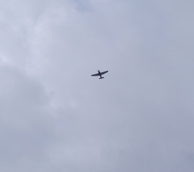 DSCF1017.JPG