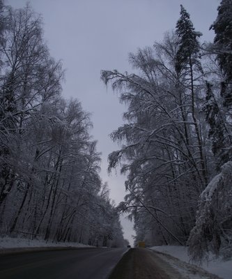 DSCF1133.JPG