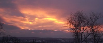 DSCF1198.JPG