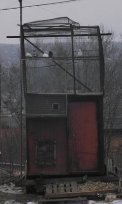 DSCF1569.JPG