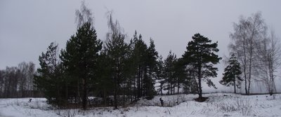 DSCF2195.JPG