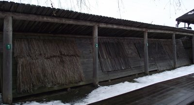 DSCF2233.JPG